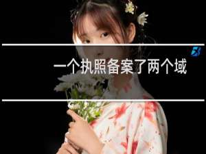 一个执照备案了两个域名-备案平台