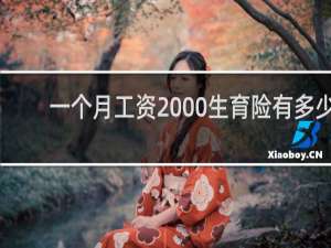 一个月工资2000生育险有多少