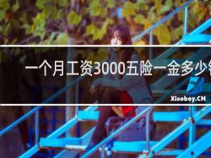 一个月工资3000五险一金多少钱