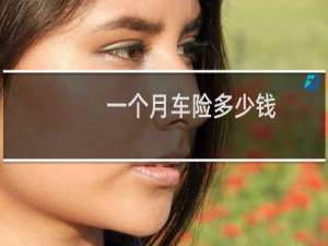 一个月车险多少钱