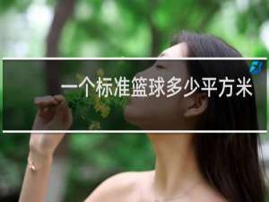 一个标准篮球多少平方米