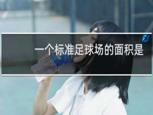 一个标准足球场的面积是多少亩