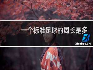 一个标准足球的周长是多少