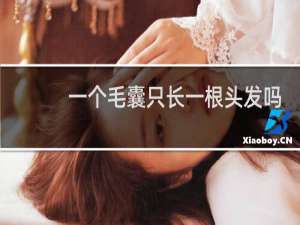 一个毛囊只长一根头发吗