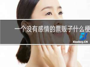 一个没有感情的票贩子什么梗