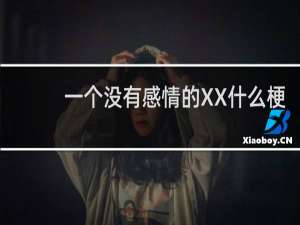 一个没有感情的XX什么梗