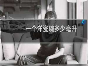 一个洋瓷碗多少毫升