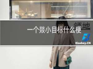 一个燚小目标什么梗？什么梗
