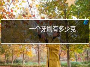 一个牙刷有多少克