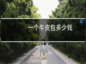 一个牛皮包多少钱