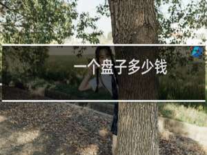 一个盘子多少钱