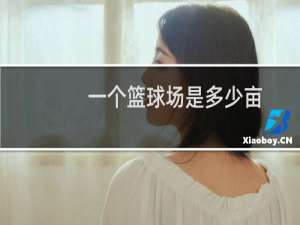 一个篮球场是多少亩