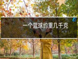 一个篮球约重几千克