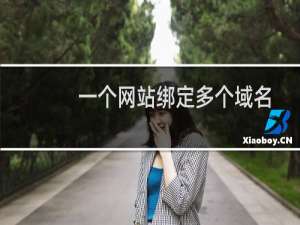 一个网站绑定多个域名怎么给多个域名申请域名证书呢