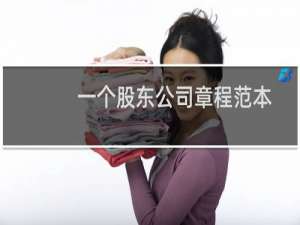 一个股东公司章程范本