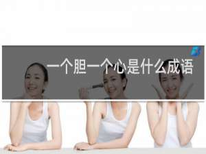 一个胆一个心是什么成语