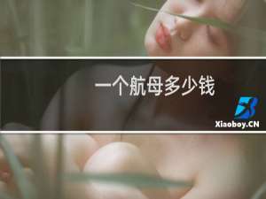 一个航母多少钱