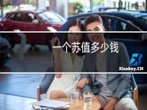 一个苏值多少钱
