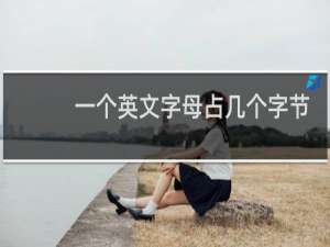 一个英文字母占几个字节