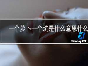 一个萝卜一个坑是什么意思什么梗