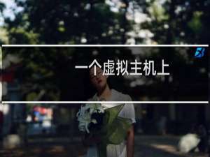 一个虚拟主机上，可以放两个不同的站点，指向不同的链接么