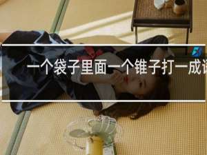 一个袋子里面一个锥子打一成语