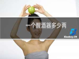 一个醒酒器多少两