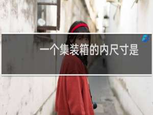 一个集装箱的内尺寸是