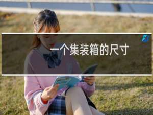 一个集装箱的尺寸