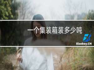 一个集装箱装多少吨