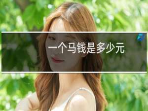 一个马钱是多少元