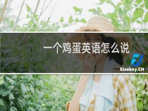 一个鸡蛋英语怎么说