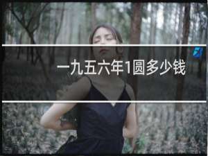一九五六年1圆多少钱