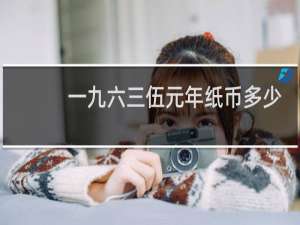 一九六三伍元年纸币多少