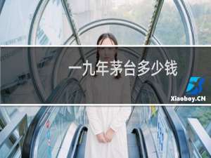 一九年茅台多少钱
