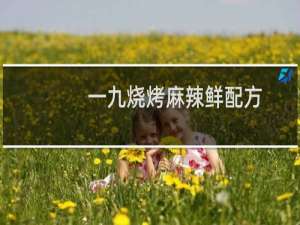 一九烧烤麻辣鲜配方