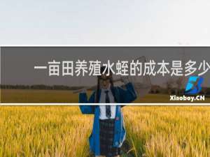 一亩田养殖水蛭的成本是多少