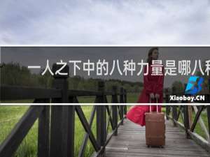一人之下中的八种力量是哪八种