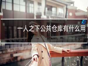 一人之下公共仓库有什么用