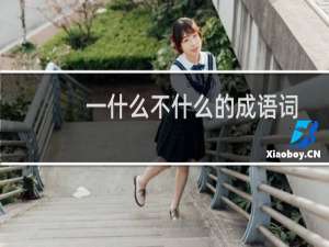 一什么不什么的成语词