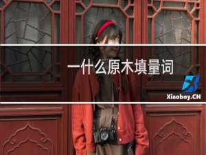 一什么原木填量词