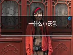 一什么小笼包