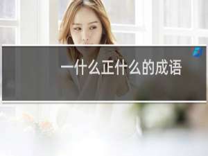 一什么正什么的成语