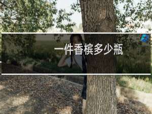 一件香槟多少瓶
