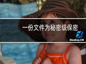 一份文件为秘密级保密期限是十年