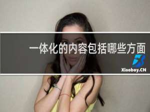 一体化的内容包括哪些方面