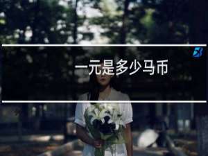 一元是多少马币