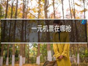 一元机票在哪抢