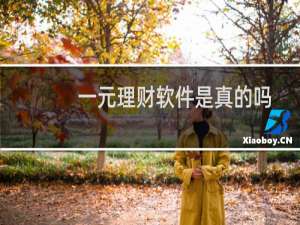 一元理财软件是真的吗