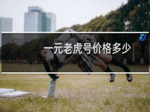 一元老虎号价格多少